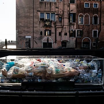 Death by Plastic (Venice), 2019