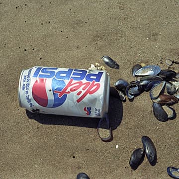 FRESH KILLS: A Walk on the Beach, (detail), Staten Island, NY, 2001