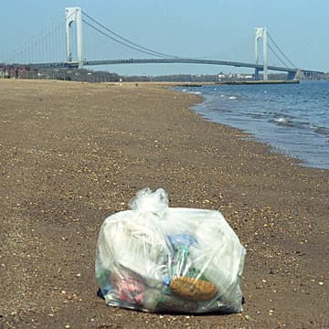 FRESH KILLS: A Walk on the Beach, (detail), Staten Island, NY, 2001