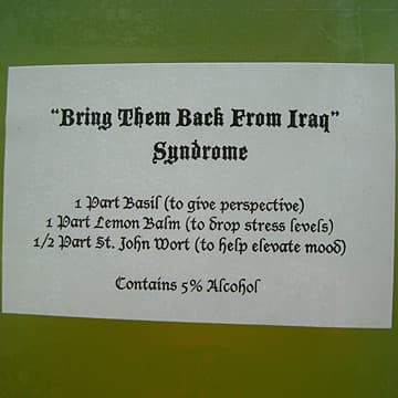 Bring Them Back From Iraq Potion, Abington Art Center, Jenkintown, PA, 2007