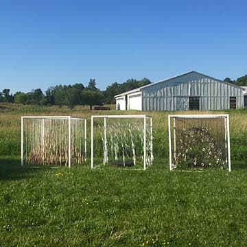 Sound Meditation Cubes, 2019