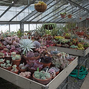 Wave Hill Greenhouse, Wave Hill Public Garden and Cultural Center, Bronx, NY, 2010