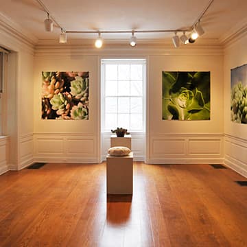 Interviews with Succulents (Installation view), Wave Hill Public Garden and Cultural Center, Bronx, NY, 2010
