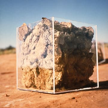 Elements / Cow Dung, Utah, 2000