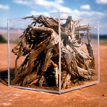 Elements / Juniper Roots, Utah, 2000